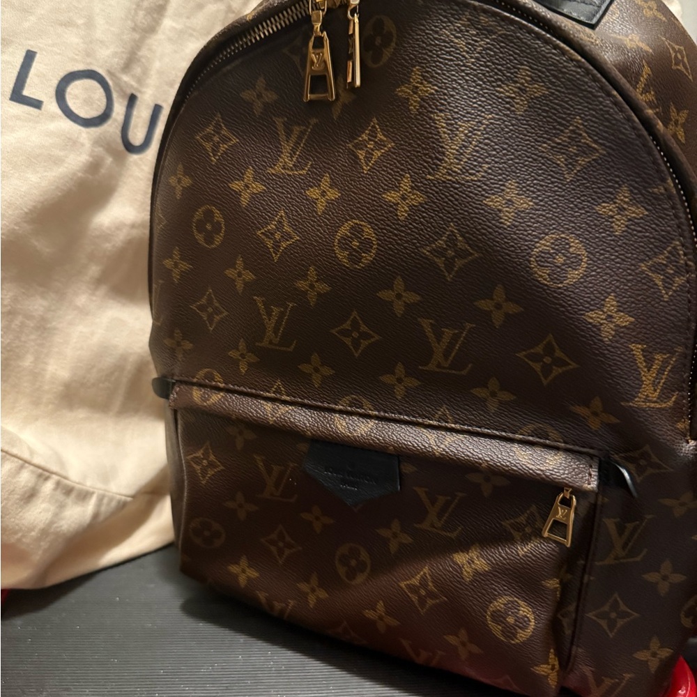 Louis Vuitton Palm Springs Backpack Authentic